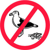 Bird Control Services Abudhabi
