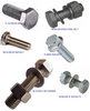 Bolt Suppliers In Uae