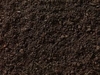 Sweet Soil Supplier in UAE