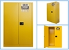 SAFETY CABINETS SUPPLIERS IN UAE