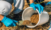 Great Deals! Buy Fertilizer & Soil Online at B ...