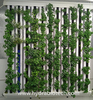 Vertical Farm Hydroponic Growing System Single- ...