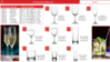 GLASSWARE WHOLESALERS AND MANUFACTURERS